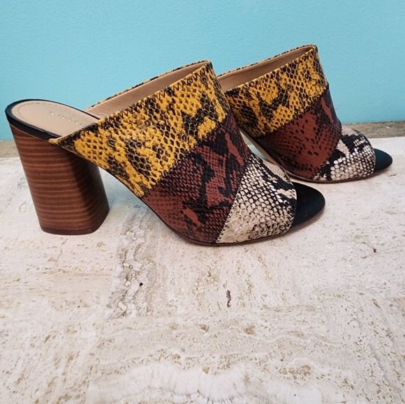 Gibson Latimer Boho Snake Print Tri-Color Leather Mule - Size 9.5 - Picture 1 of 7
